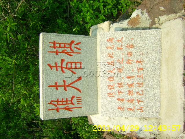 SA502737.JPG
