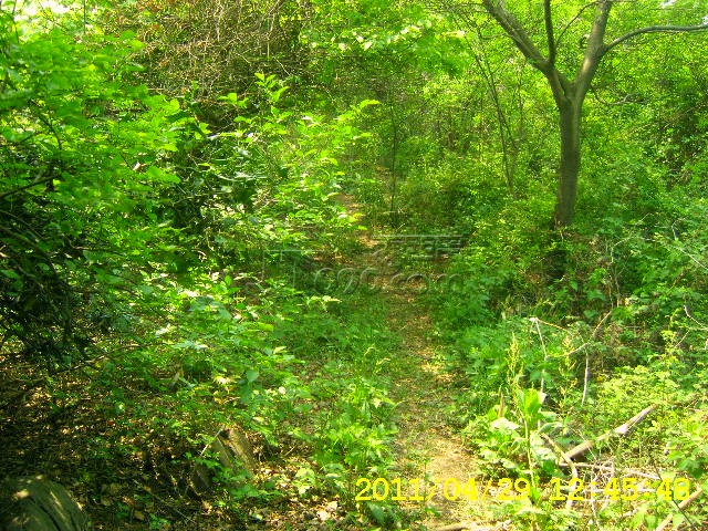 SA502740.JPG