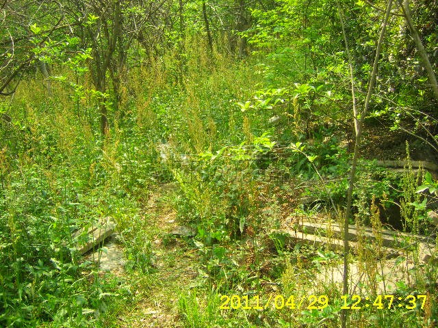 SA502741.JPG