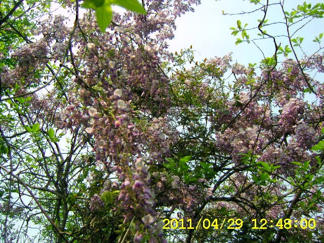 SA502743.JPG