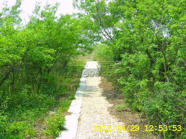 SA502749.JPG