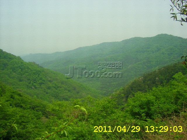 SA502762.JPG
