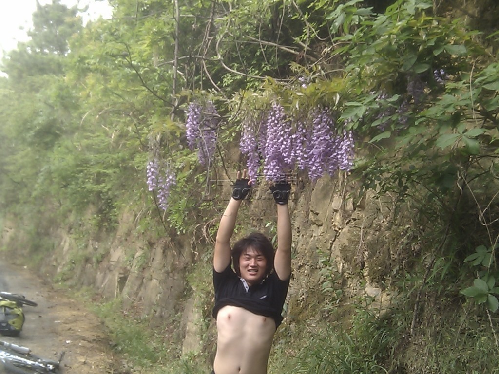 ҵ鶹2.jpg