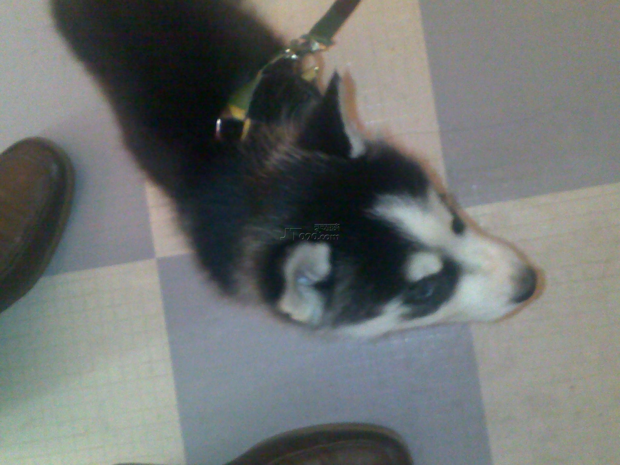 20101211269.jpg