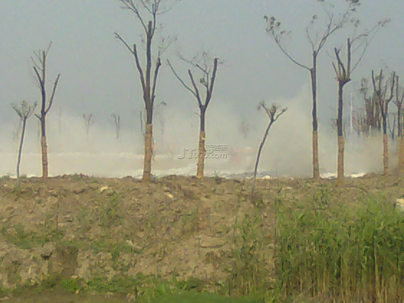 201105061847.jpg
