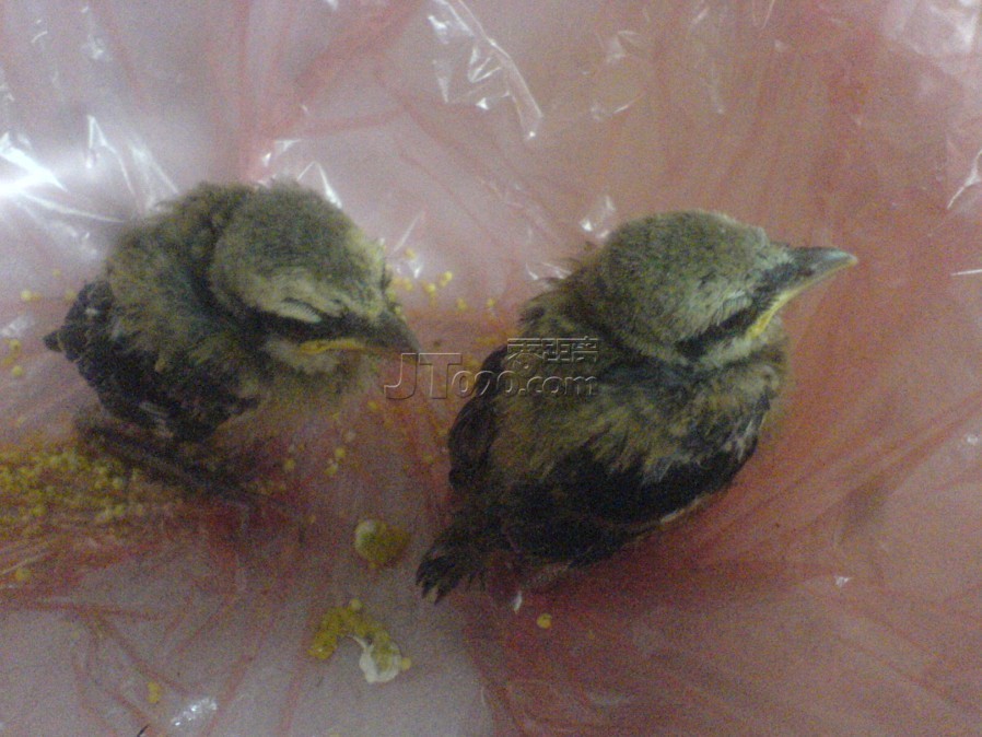 ʲô񰡣ҲǸճûŶ·ϼ񵽵.jpg