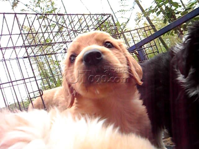 20110515191015.jpg