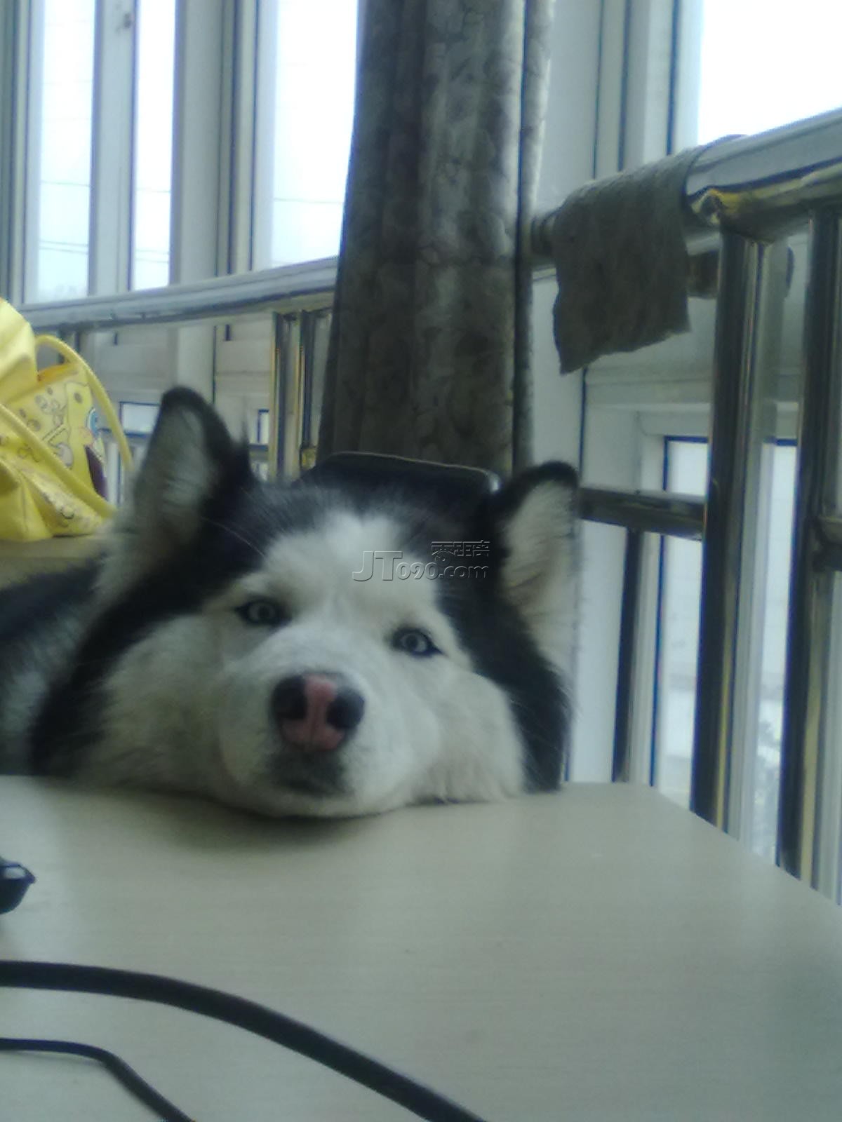 201104031644.jpg