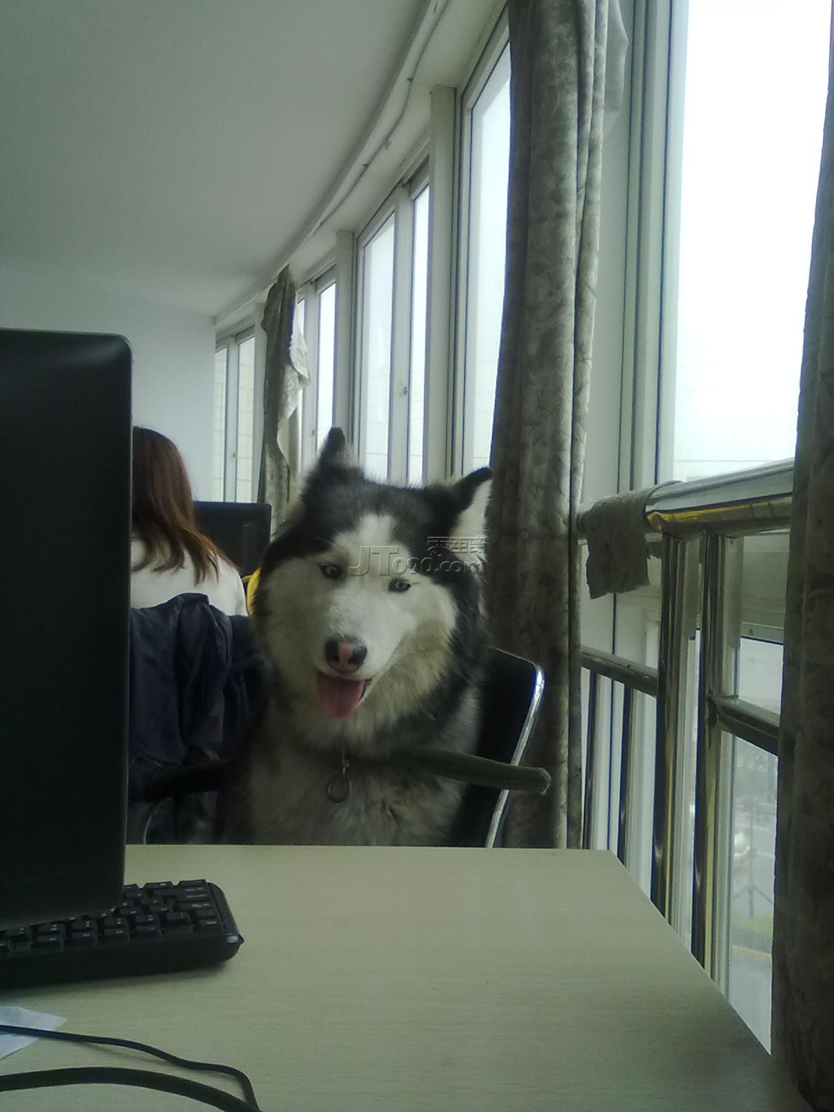 201104031642.jpg