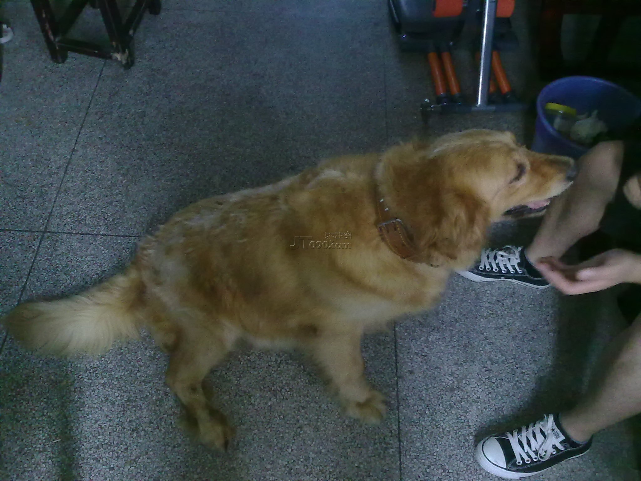 20110518132.jpg