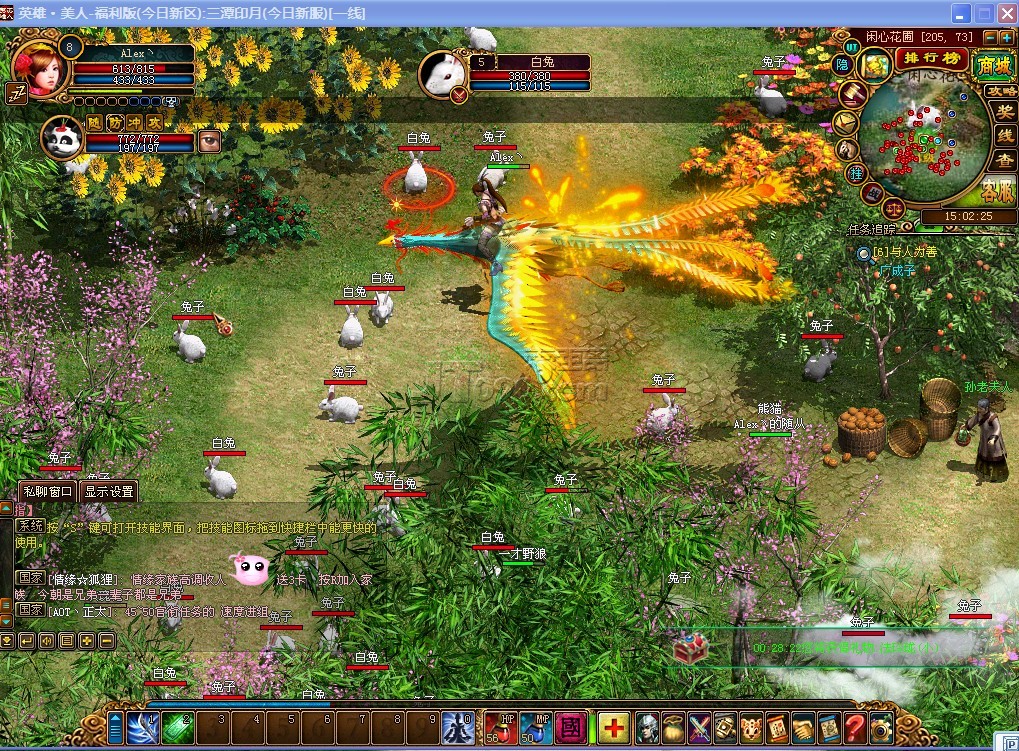 5.jpg