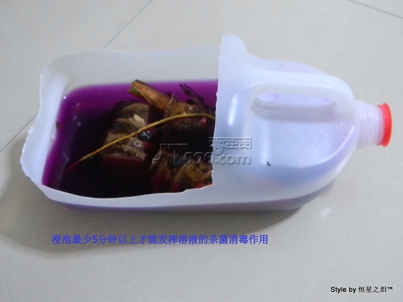 DSCN2724.JPG