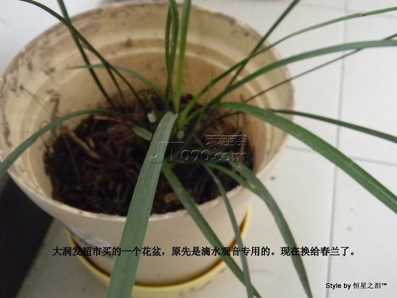 DSCN2763.JPG