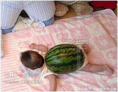 p_large_1yRm_08080001060a2d10.jpg