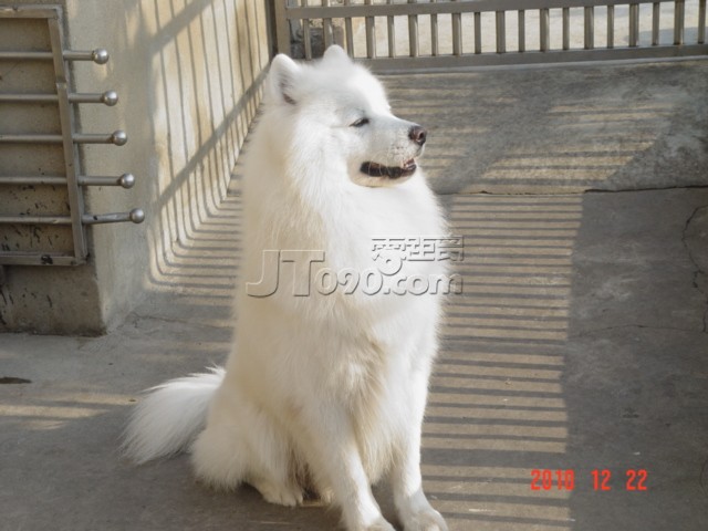 DSC03472.JPG
