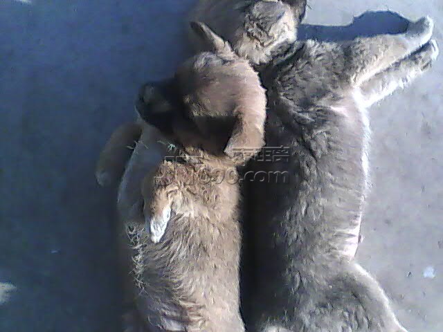PIC_5506.jpg