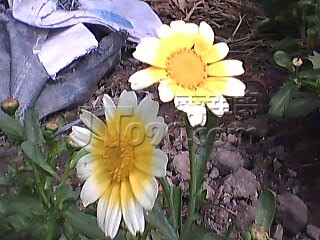 PIC_7906.jpg