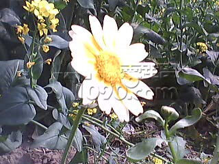 PIC_2196.jpg