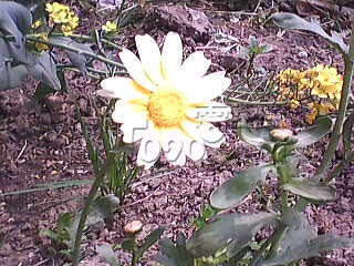 PIC_3497.jpg