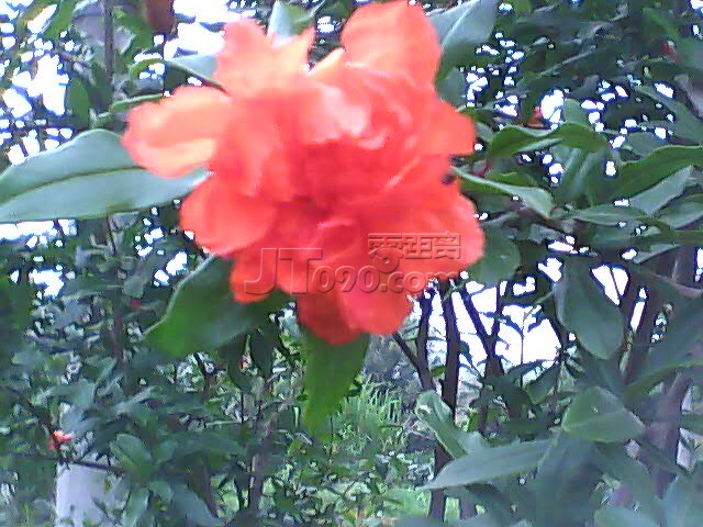 PIC_2659.jpg