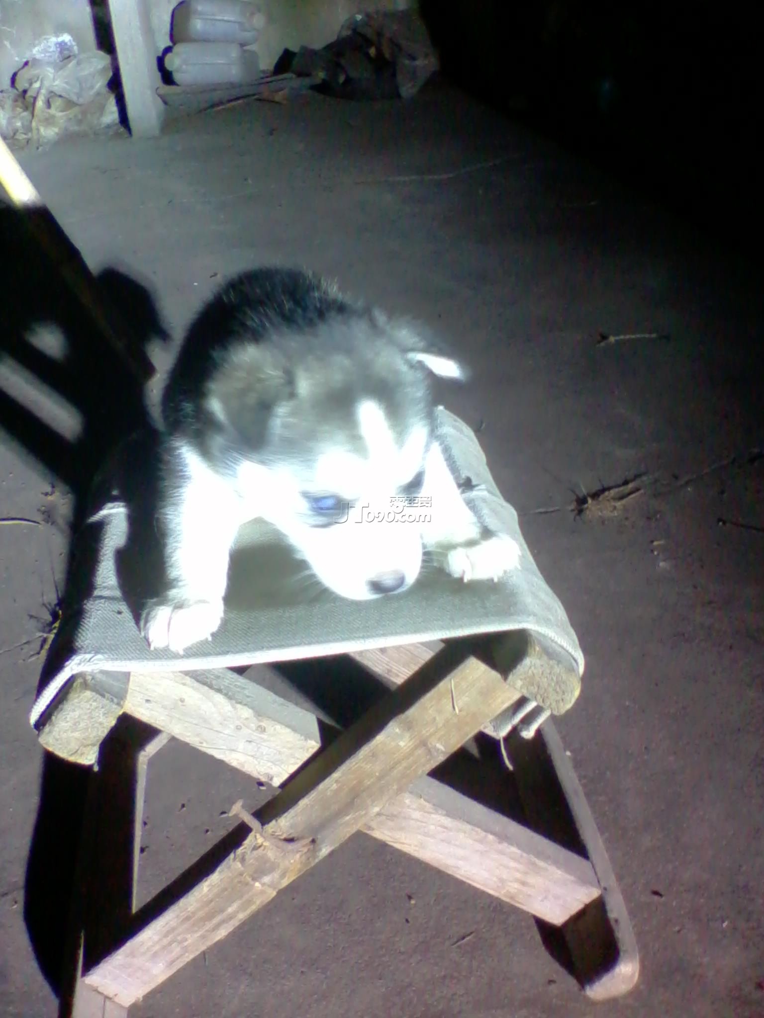 2011-05-29 20.40.55.jpg