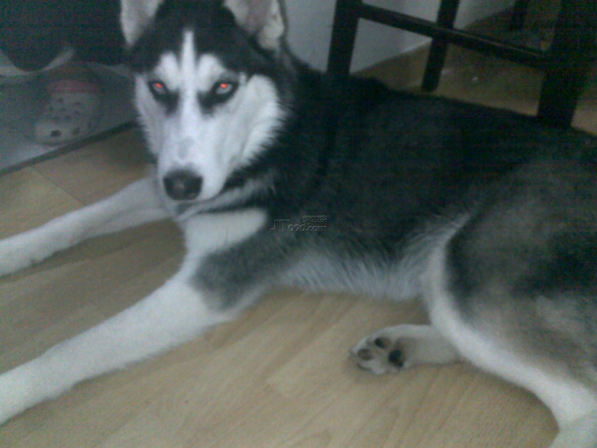 20110314139.jpg
