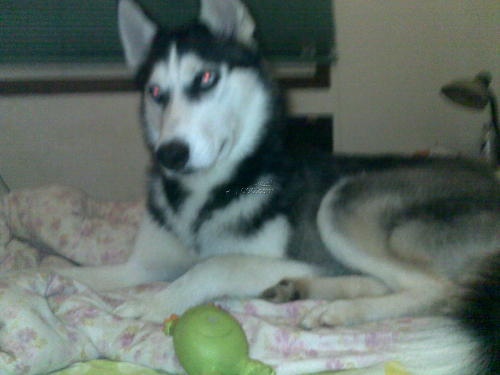 20110527619.jpg