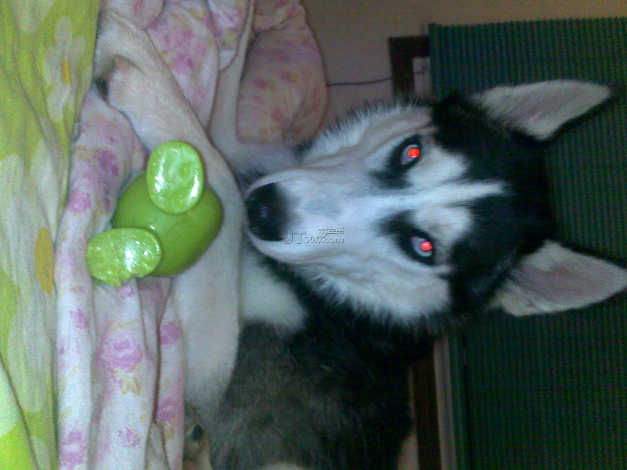 20110527616.jpg