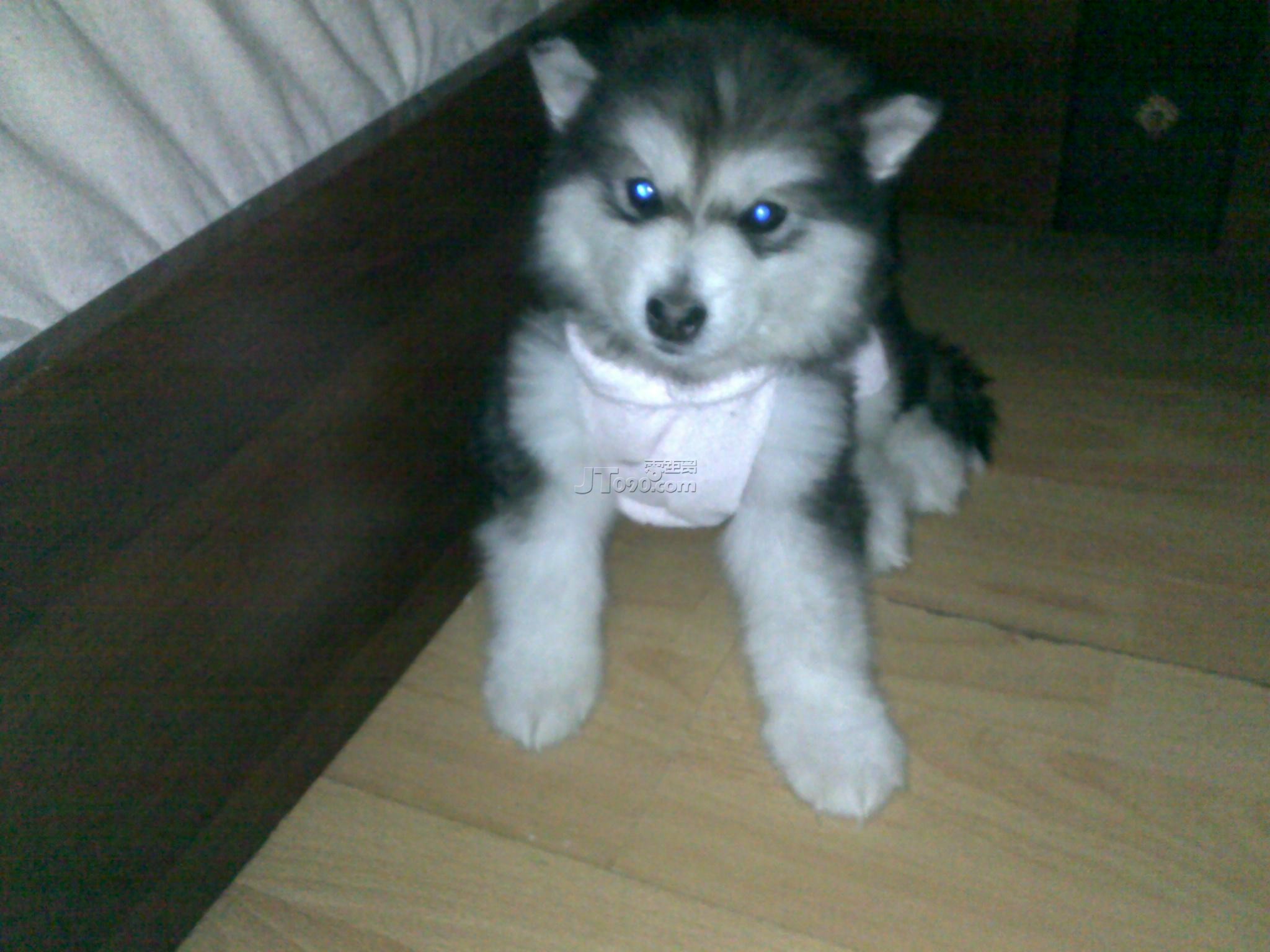 20110305121.jpg