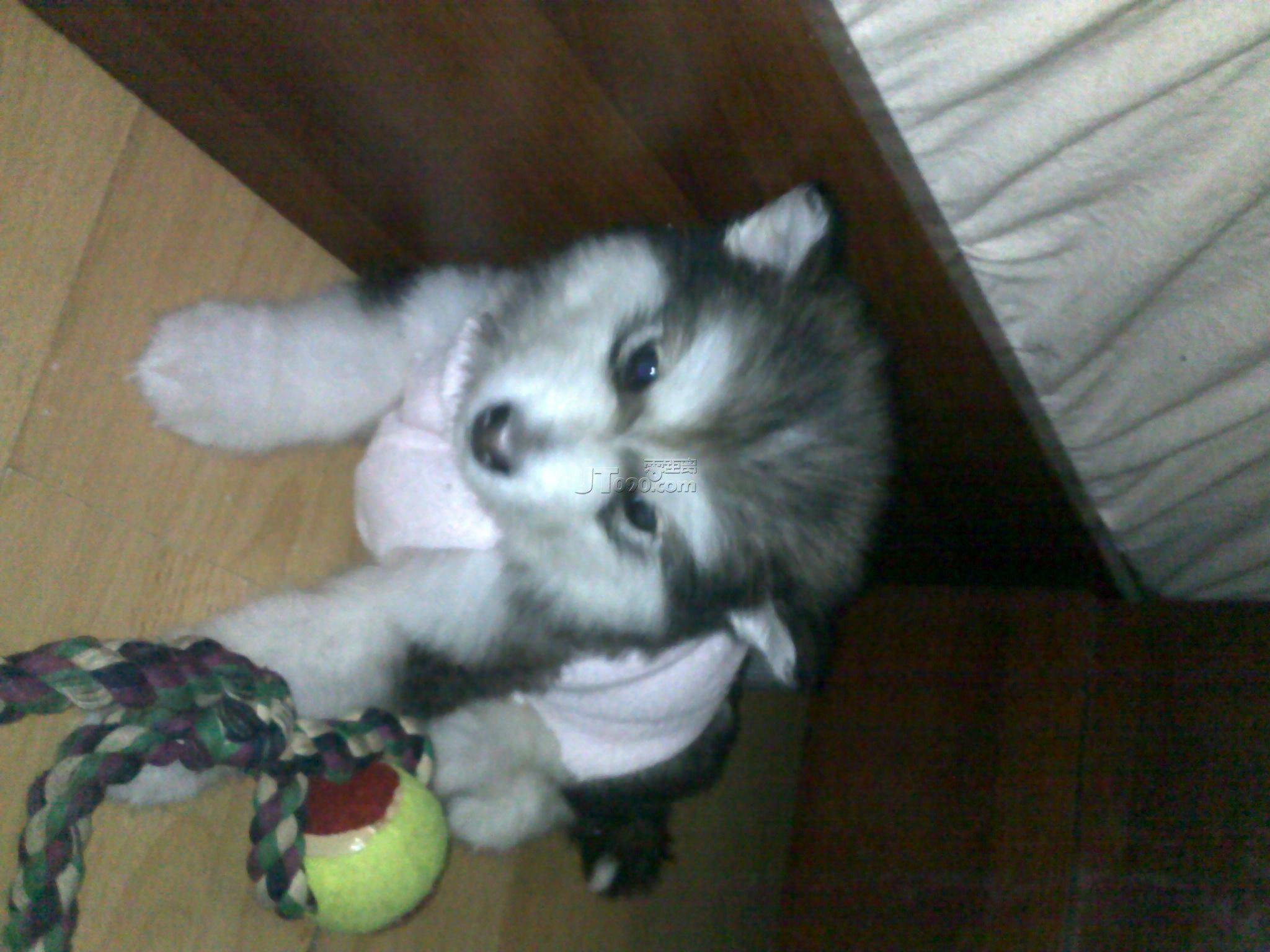 20110305125.jpg