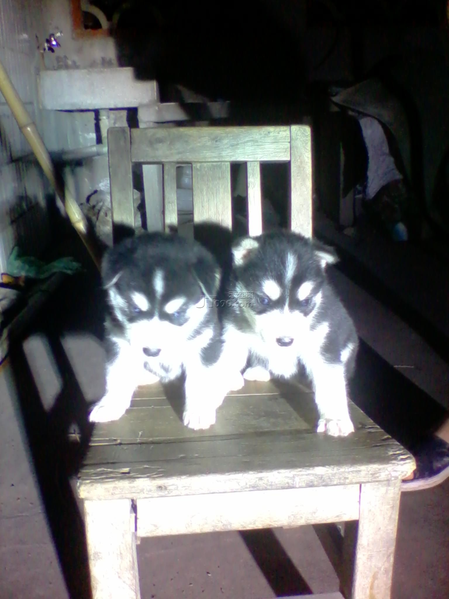 2011-05-29 20.42.49.jpg