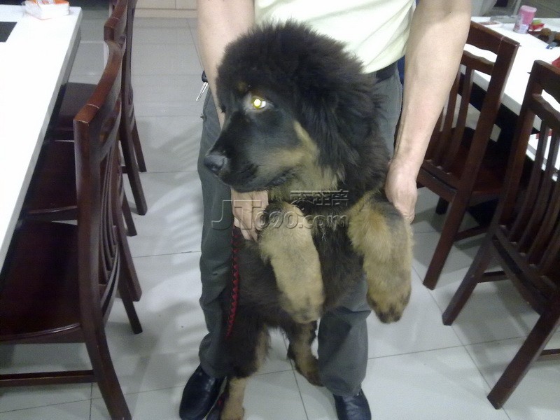 201106130116.jpg