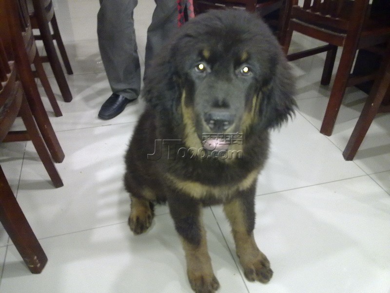 201106130119.jpg