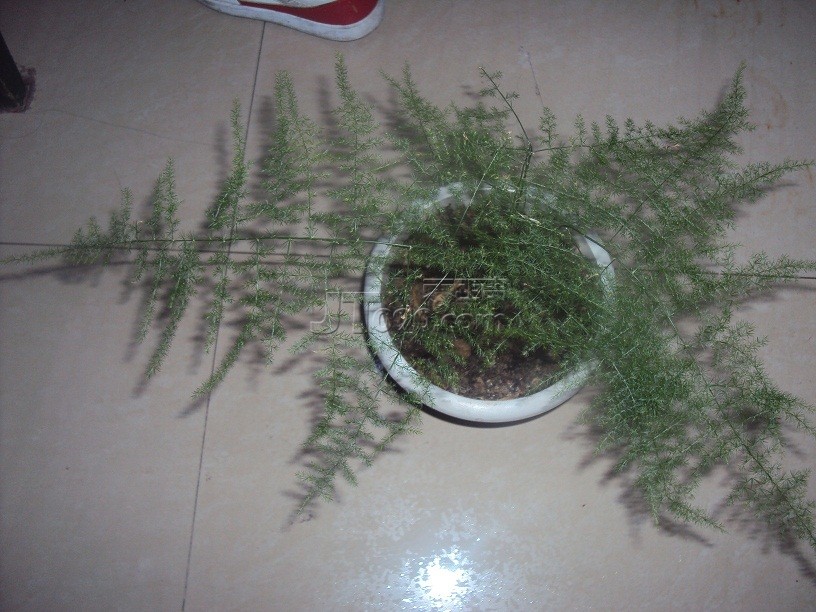 DSC00752.JPG
