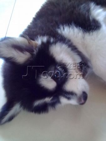 20110602097.jpg