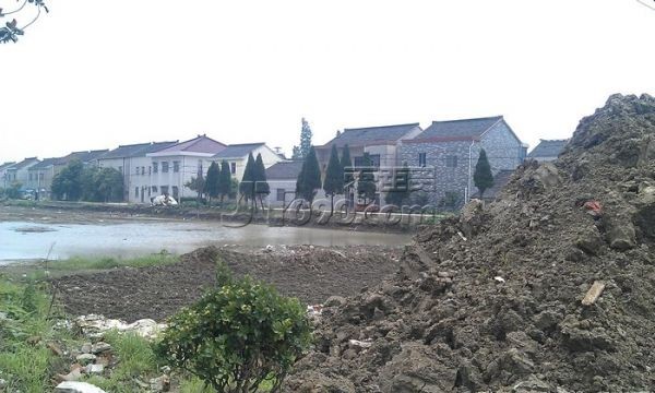 IMAG0696.jpg