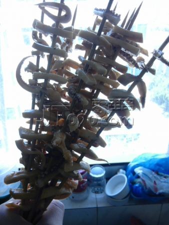 IMG_20110404_121803.jpg