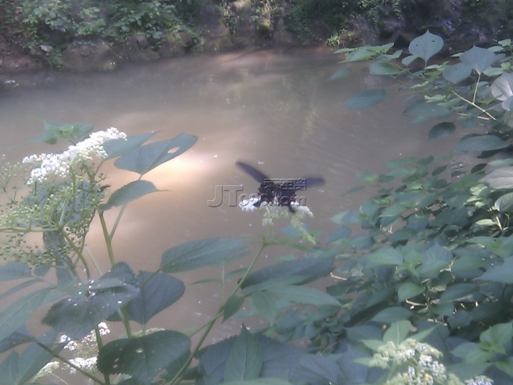C360_2011-07-24 08-56-45.jpg