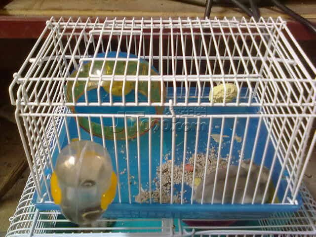20110725381.jpg