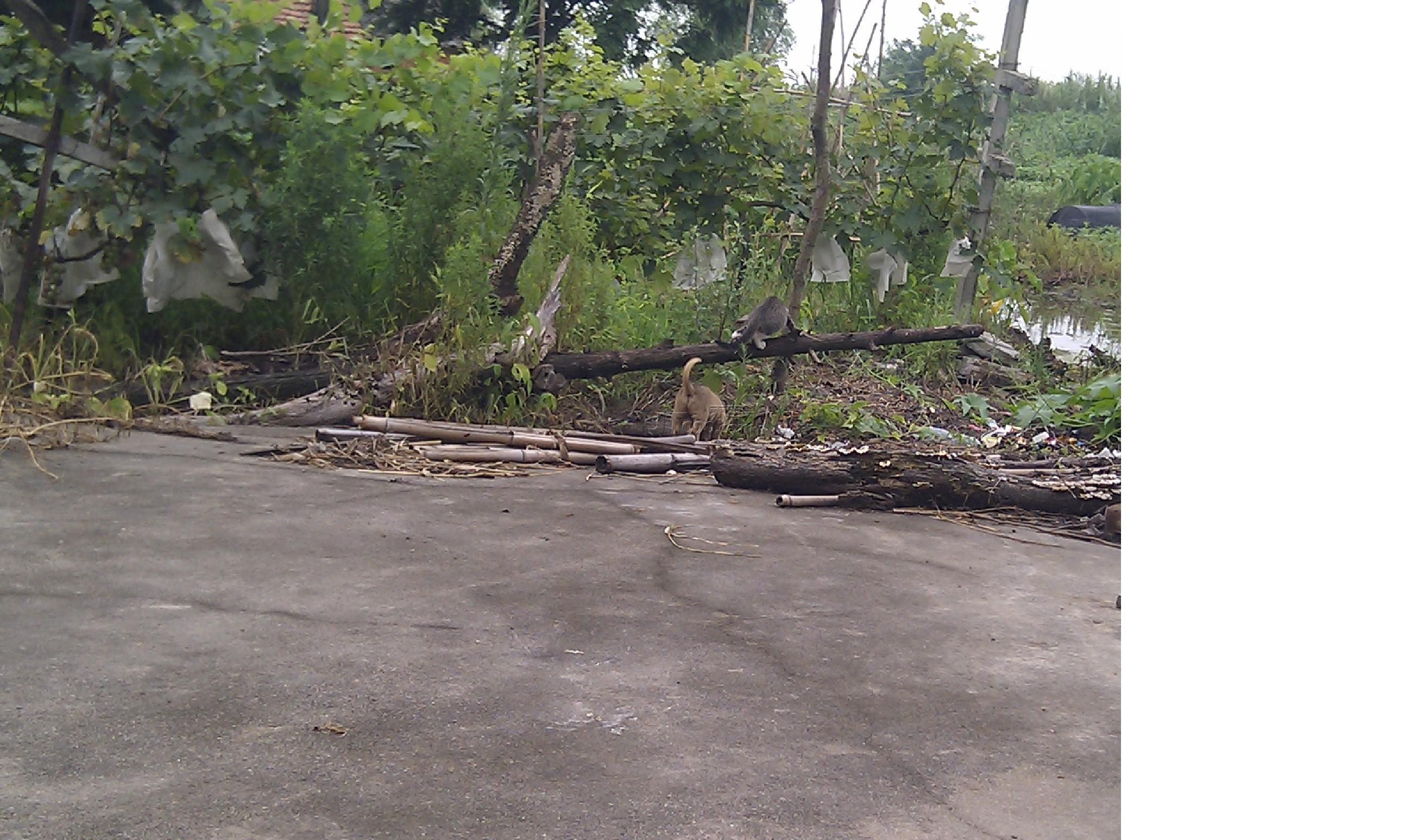 IMAG0089.jpg
