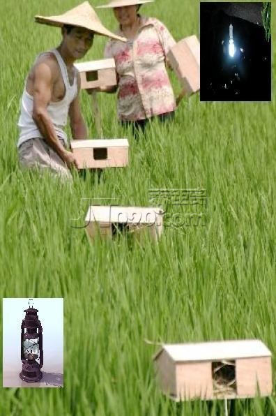 ˭ǵã.jpg