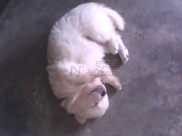 PIC_4816.jpg