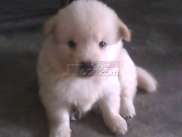 PIC_3486.jpg