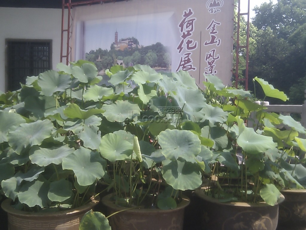 C360_2011-07-30 09-20-00.jpg