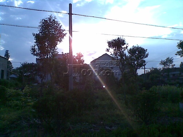20110807.jpg