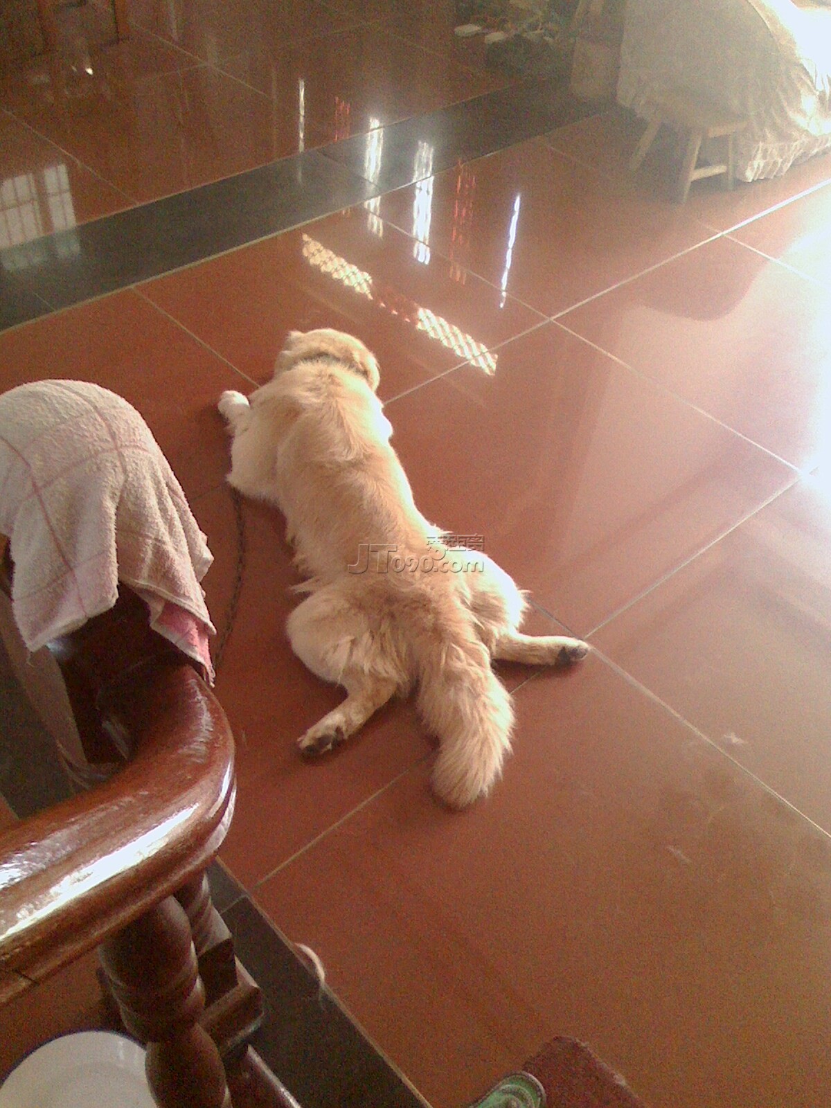 IMG0815133500.jpg