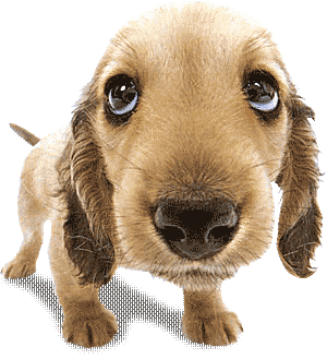 http_imgload21321.gif