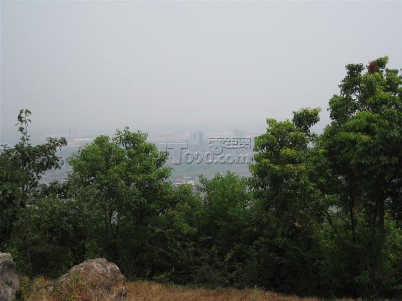 435.jpg