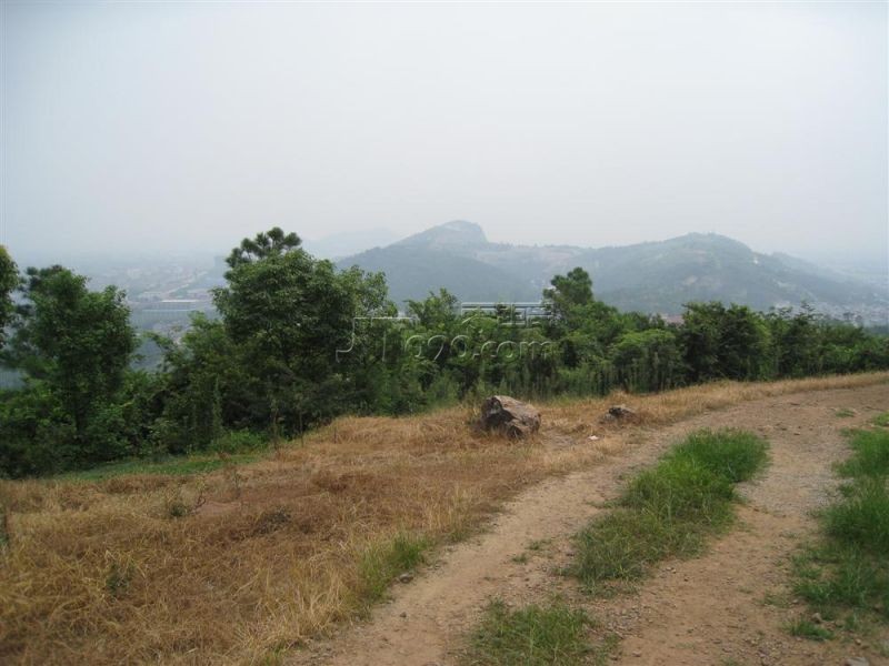 555.jpg