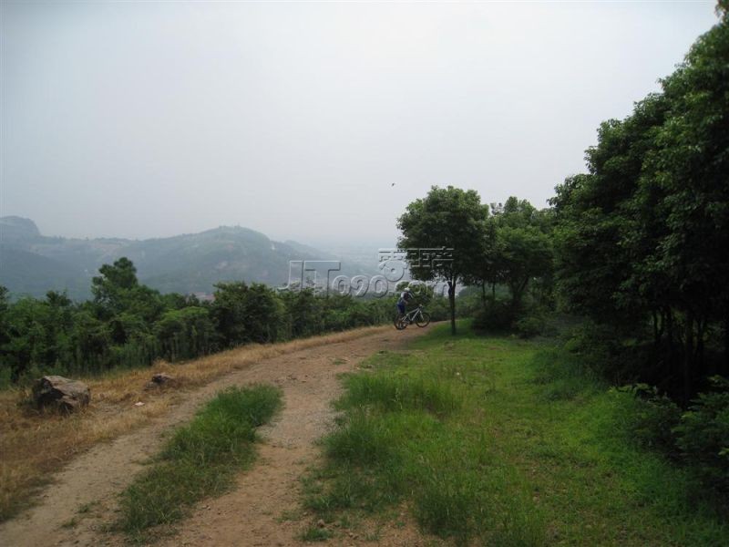 7535.jpg